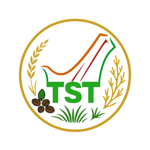 Logo TST